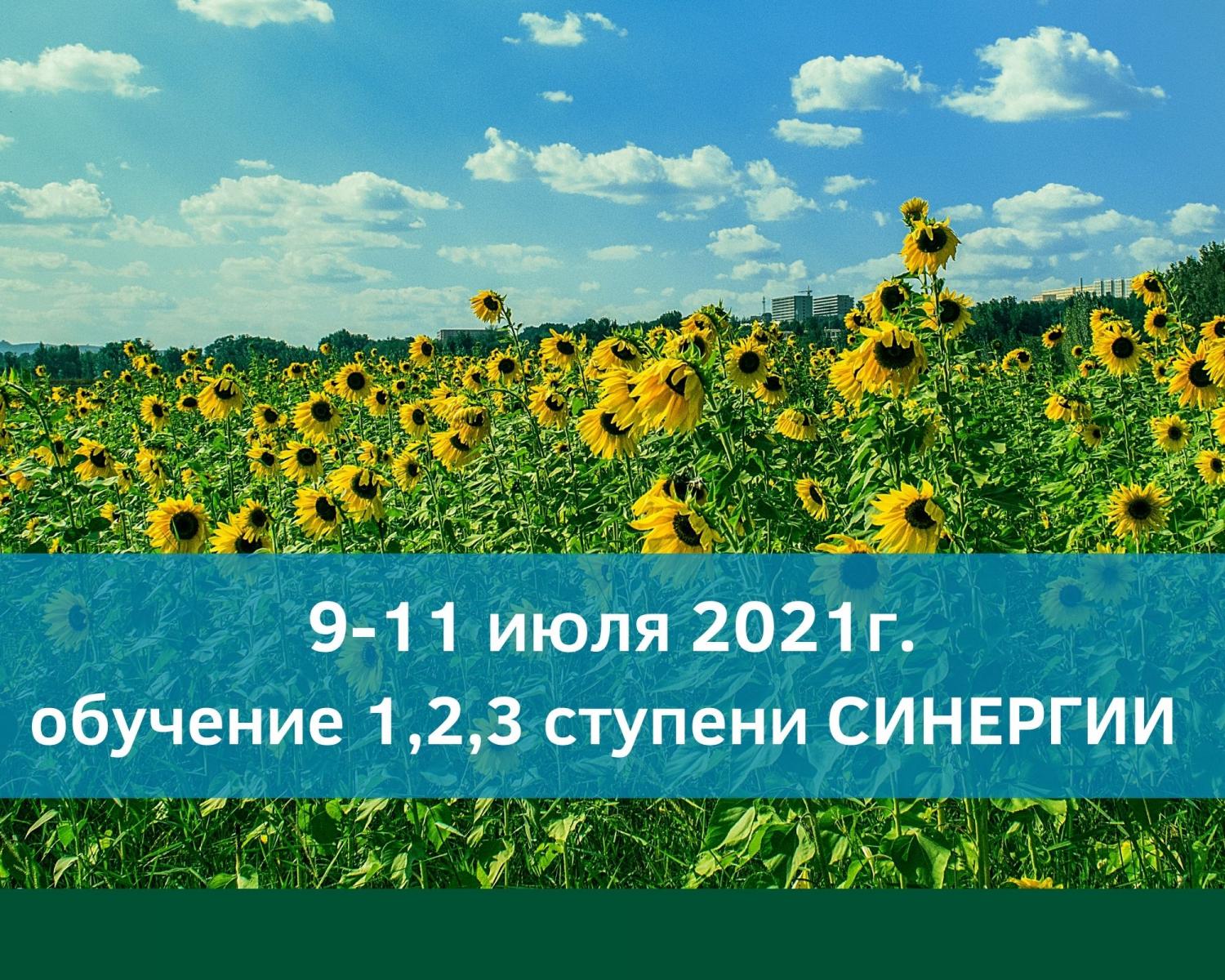 Обучение методу Синергия 09,10,11 июля 2021г